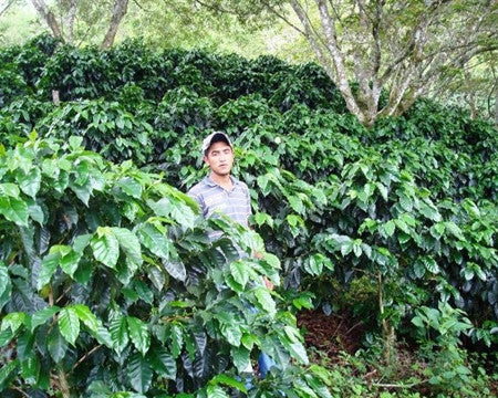 Honduras Siguatepeque El Jaguar